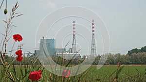Incineration plant behind some poppies, focus shift