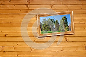 Inclined picture on wooden wall photo