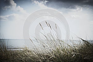 Inclines play with clouds