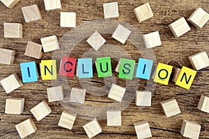 Inclusion photo