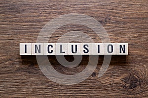 Inclusion - word concept on building blocks, text