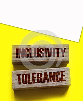 Inclusivity Tolerance Words on Wooden blocks. Social equality concept