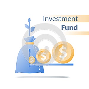 Income growth, invest fund, revenue increase, return on investment, long term wealth management, more money, high interest