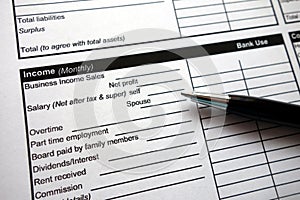 Income heading on credit application form
