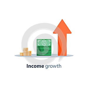 Income increase, financial strategy, return on investment, fund raising, long term increment, revenue growth, loan installment