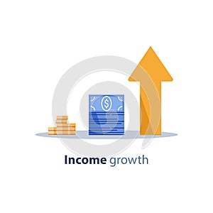 Income increase, financial strategy, return on investment, fund raising, long term increment, revenue growth, loan installment