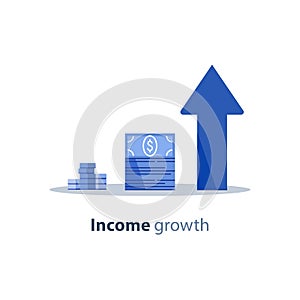 Income increase, financial strategy, return on investment, fund raising, long term increment, revenue growth, loan installment