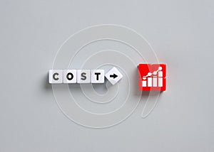 Increasing costs and business crisis. Inflation and economy. Cost management