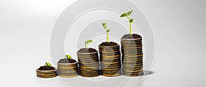 Increasing Piles Of Coins with growing  plant on top
