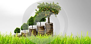 Increasing Piles Of Coins with growing  plant on top. Investment and Saving concept