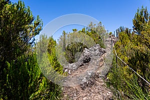 Incredibe nature beauty of Madeira island photo