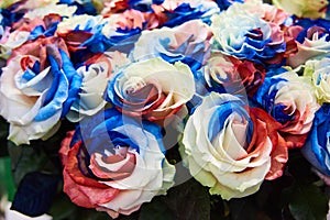 Close-up beautiful bouquet of unusual flowers - blue, red and white roses