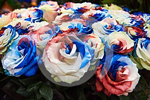 Close-up beautiful bouquet of unusual flowers - blue, red and white roses