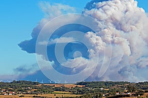 Incredible bush fire at the southcoast in Portugal photo