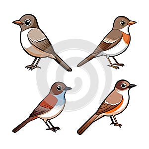 Incredible Eastern Phoebe Bird Colorful Artwork