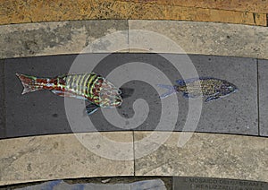 Incredible fish around the outside of a beautiful mosaic in Manarola, northern Italy.