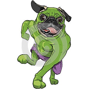 The Incredible Hulk Dog