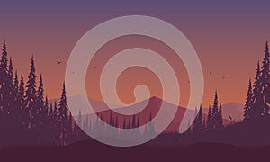 Incredible mountain panorama at dusk with an aesthetic silhouette of pine trees. Vector illustration
