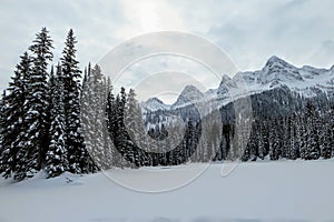 Incredible snowy views from Island Lake in Fernie, British Columbia, Canada. The majestic winter background is beautiful