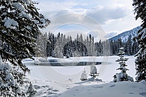 Incredible snowy views from Island Lake in Fernie, British Columbia, Canada. The majestic winter background is beauty.