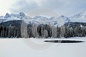 Incredible snowy views from Island Lake in Fernie, British Columbia, Canada. The majestic winter background is beauty.