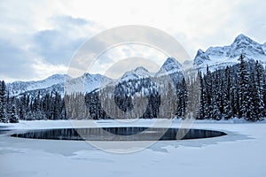 Incredible snowy views from Island Lake in Fernie, British Columbia, Canada. The majestic winter background is beauty.