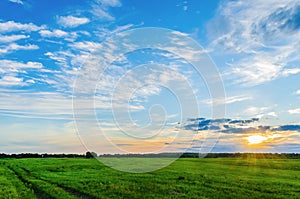 Incredible stunning sunset with a colorful sky against the background of green vegetation of wild nature