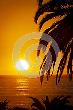 Incredible sunset in Santa Monica, Los Angeles.