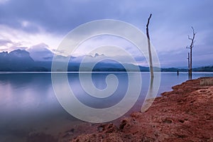 Incredible view of Cheow Lan lake with sunset sky and evidence of the preexisting jungle forest which was flooded when Rajjaprabha