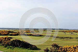 An incredible view of the most famous and historic classic links golf course, the Old Course in St. Andrews, Scotland