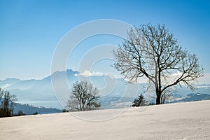 Incredible view on Mount Pilatus and Vierwaldstattersee from top of Zugerberg