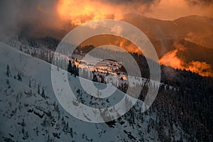 Incredible view of mountain landscape with snow-cowered trees, glowing sunlit, during sunset.