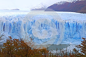 Incredible View of Perito Moreno Glacier in Los Glaciares National Park in Fall Foliage, El Calafate, Patagonia, Argentina