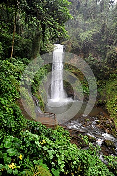 This incredible waterfall is in Costa Rica in the old world forest of Lapaz Waterfall Park.