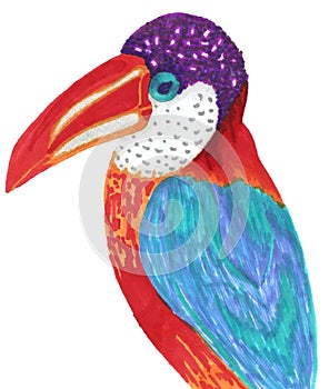 Incredibly beautiful and colorful bird, the Toucan