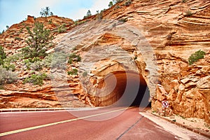 Incredibly beautiful landscape in Zion National Park, Washington County, Utah, USA