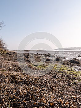 Incredibly Beautiful Shots of the River Beds in Wivenhoe Essex a