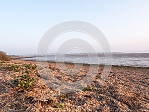 Incredibly Beautiful Shots of the River Beds in Wivenhoe Essex a