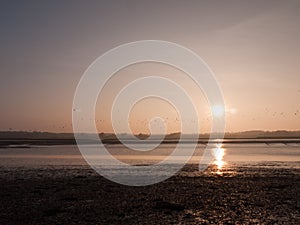 Incredibly Beautiful Shots of the River Beds in Wivenhoe Essex a