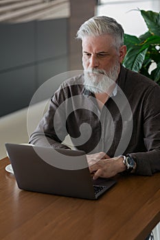 an incredibly beautiful and stylish gray-haired man of fifty years old working with a laptop