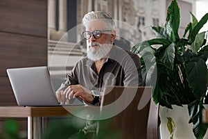 an incredibly beautiful and stylish gray-haired man of fifty years old working with a laptop