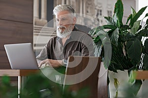 an incredibly beautiful and stylish gray-haired man of fifty years old working with a laptop