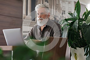 an incredibly beautiful and stylish gray-haired man of fifty years old working with a laptop