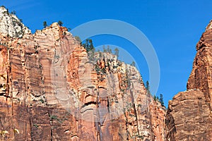 Incredibly High and Sheer Canyon Walls in Zion