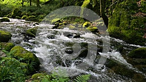 Incredibly picturesque landscape of the Black Forest mountains. Small mountain river flows through stones around stones