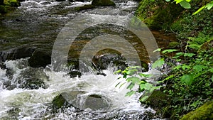 Incredibly picturesque landscape of the Black Forest mountains. Small mountain river flows through stones around stones