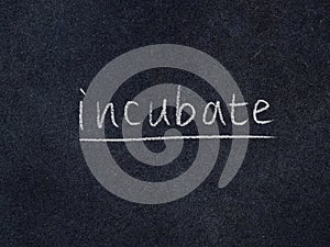 Incubate