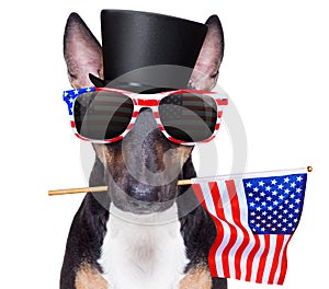 Independence day 4th of july dog