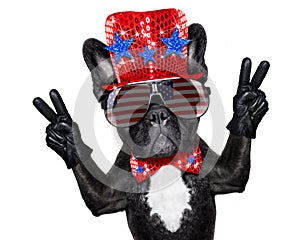 Independence day 4th of july dog