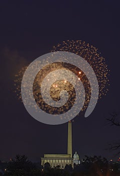 Independence Day Fireworks in Washington D.C.